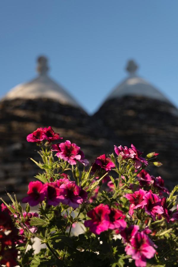 プティニャーノ Trulli Uliviヴィラ エクステリア 写真